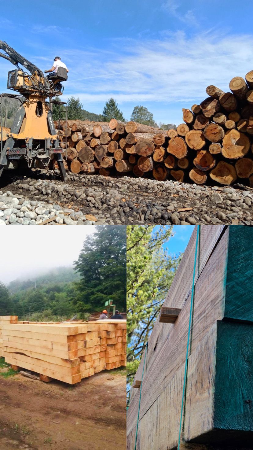 Durmientes de Madera Nativa en Chile: Un Enfoque Sostenible