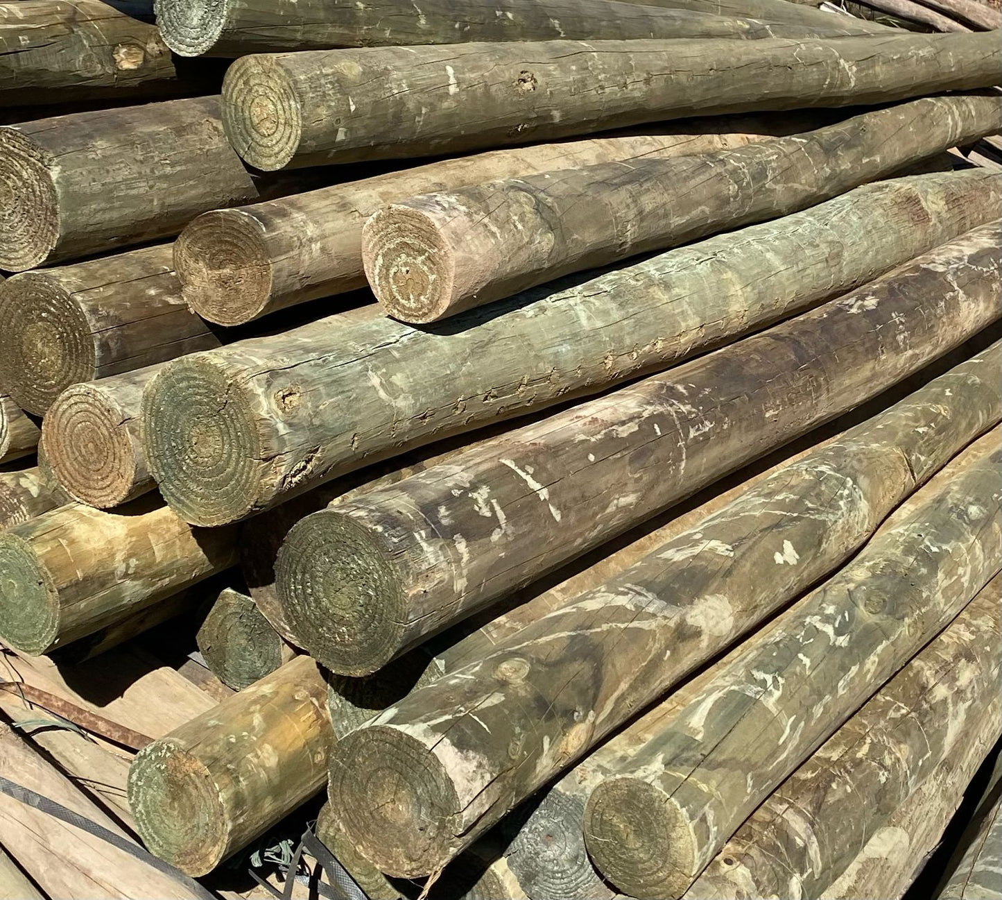 Polin Impregnado 3" a 4" X 2.40