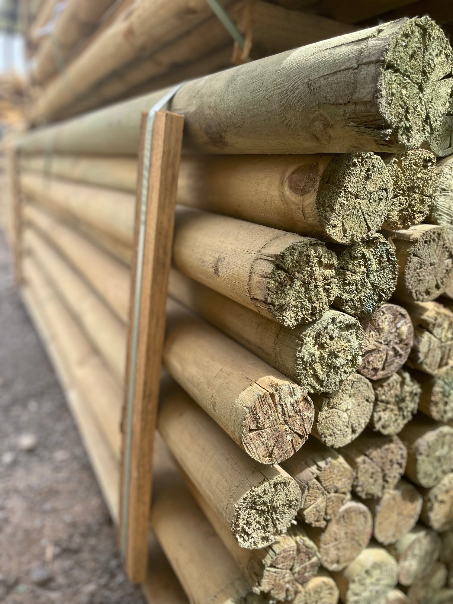 Polines Calibrados Impregnados